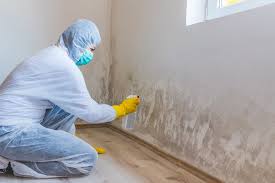 Best Mold Prevention Services in Bolivar, OH